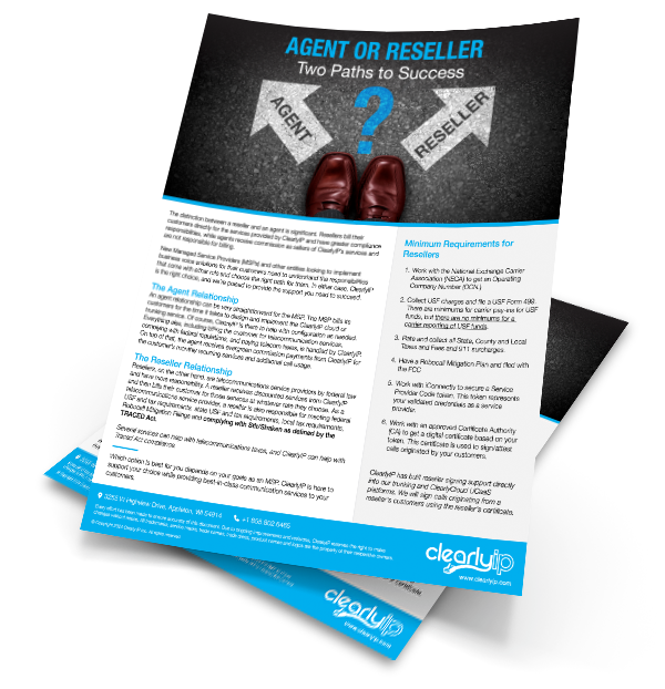 Agent or Reseller? Two Paths to Success Brochure